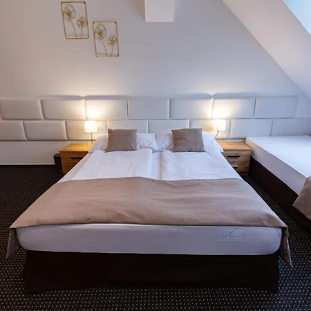 Zlaty Orol ゲストハウス Helcmanovce